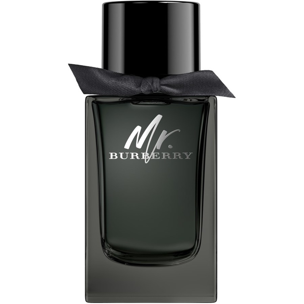 Burberry, Mr. Burberry, Eau De Parfum, For Men, 100 ml