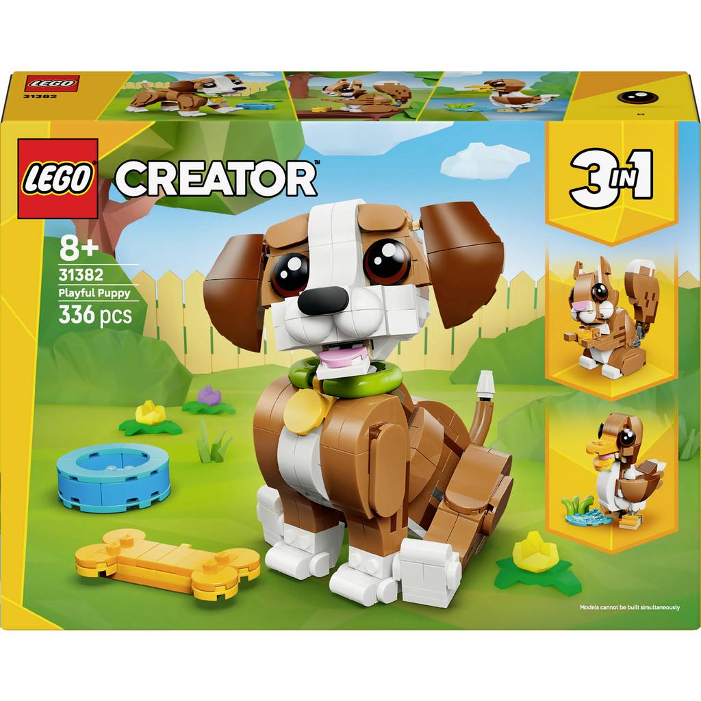 31283 LEGO Creator Exklüzif Model