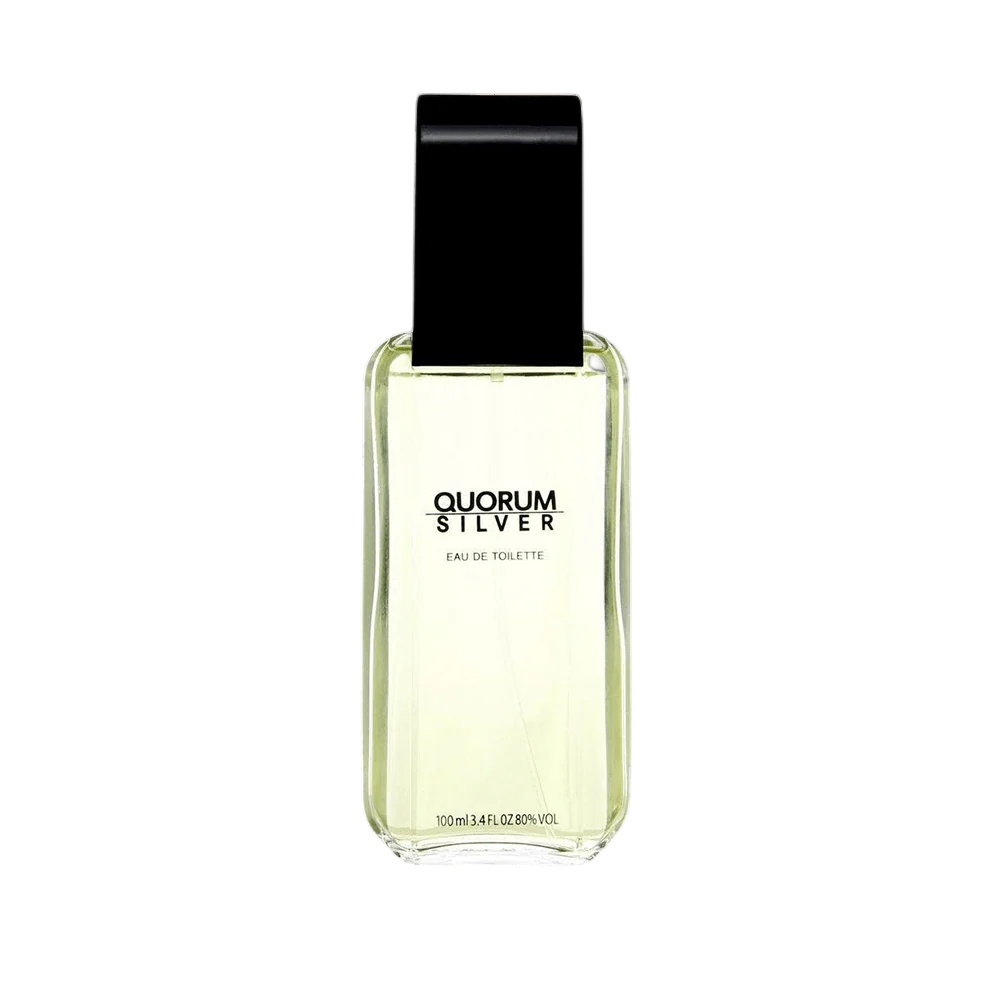 Antonio Puig, Quorum Silver, Eau De Toilette, For Men, 100 ml