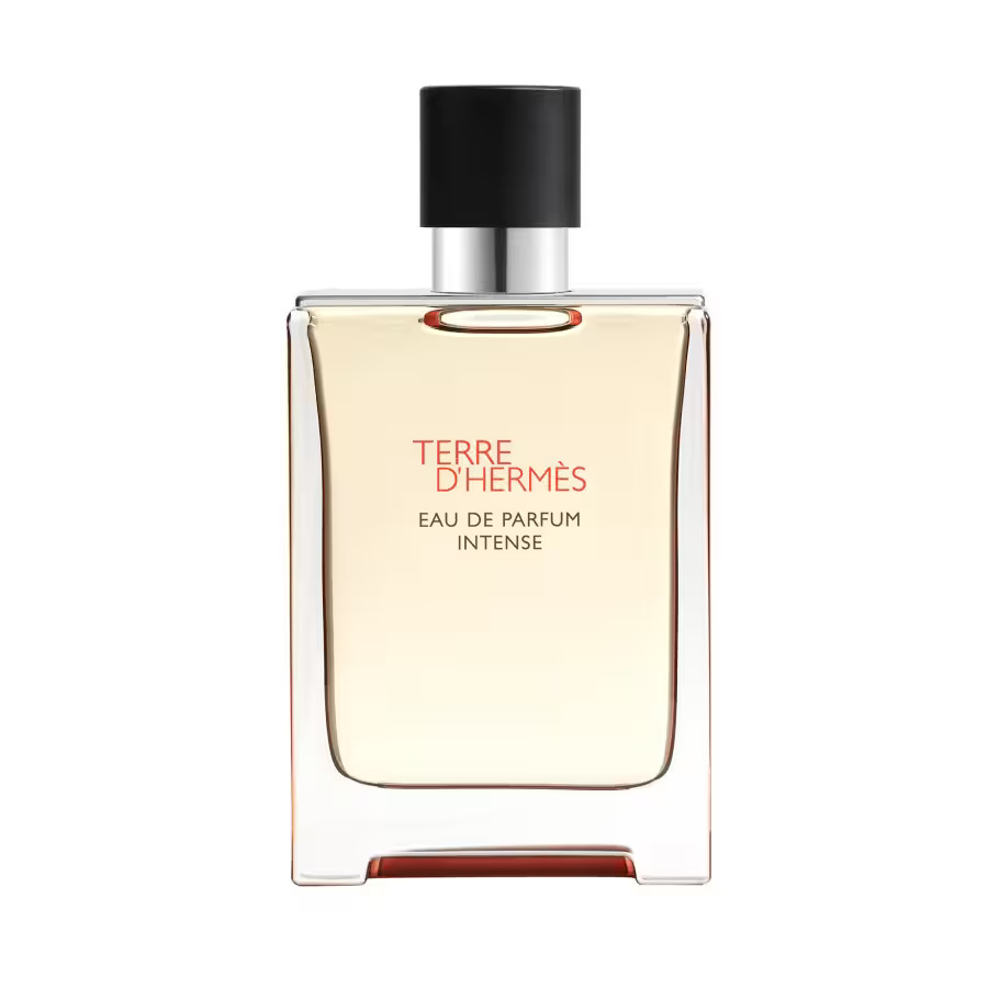 Hermes, Terre d'Hermes Intense, Eau De Parfum, For Men, Refillable, 100 ml
