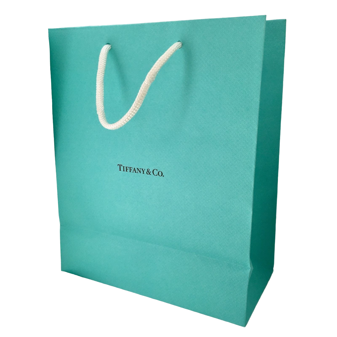 Tiffany & Co, Tiffany & Co., GWP Karton Çanta, Yeşil, Boyut L