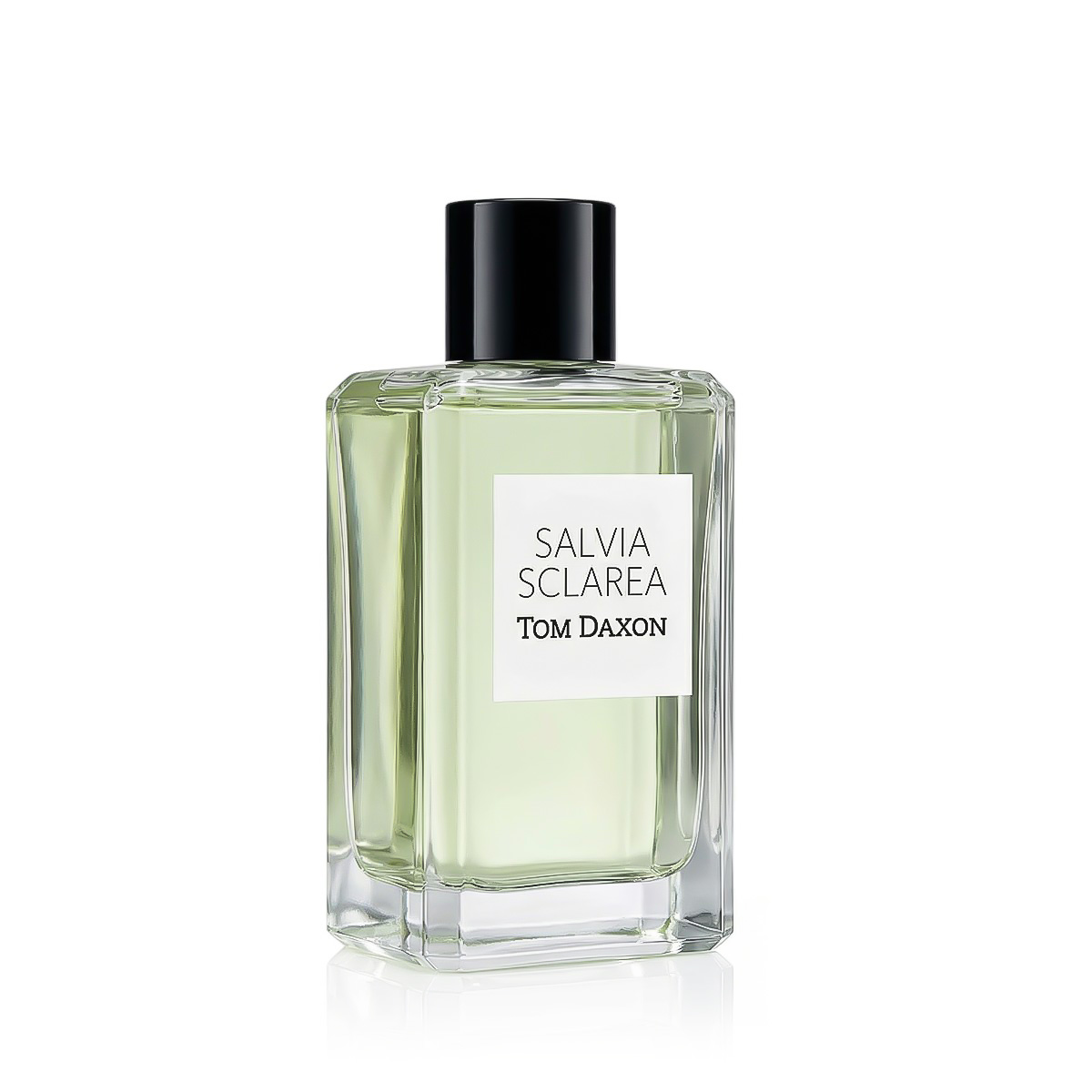 Tom Daxon Salvia Sclarea Eau De Parfum 100 ml (ünisex)