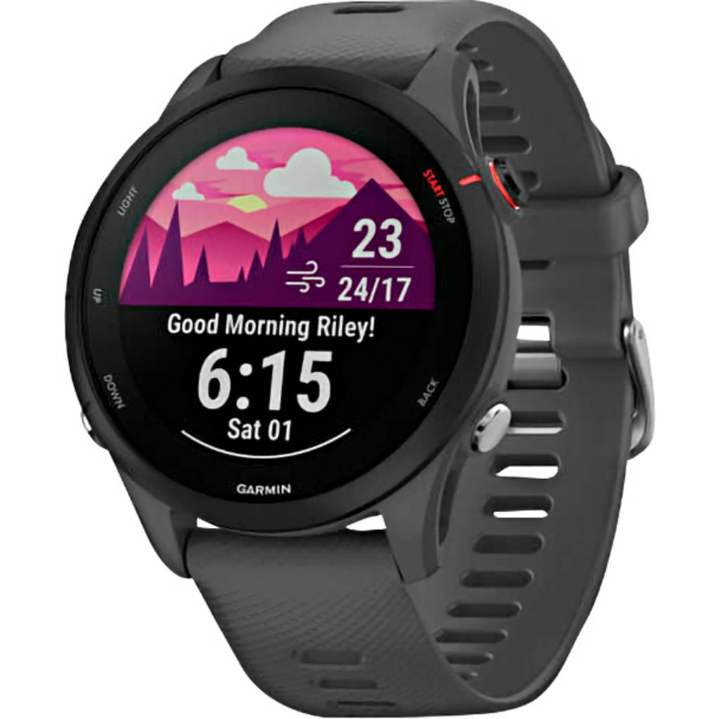 Garmin Forerunner® 255 Smartwatch 46 mm Slate grey, Black 010-02641-10