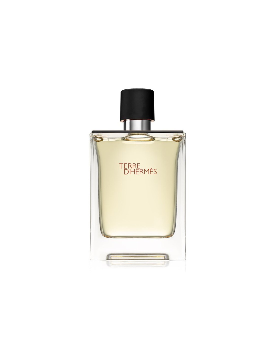 Hermes, Terre d'Hermes, Eau De Toilette, For Men, 100 ml