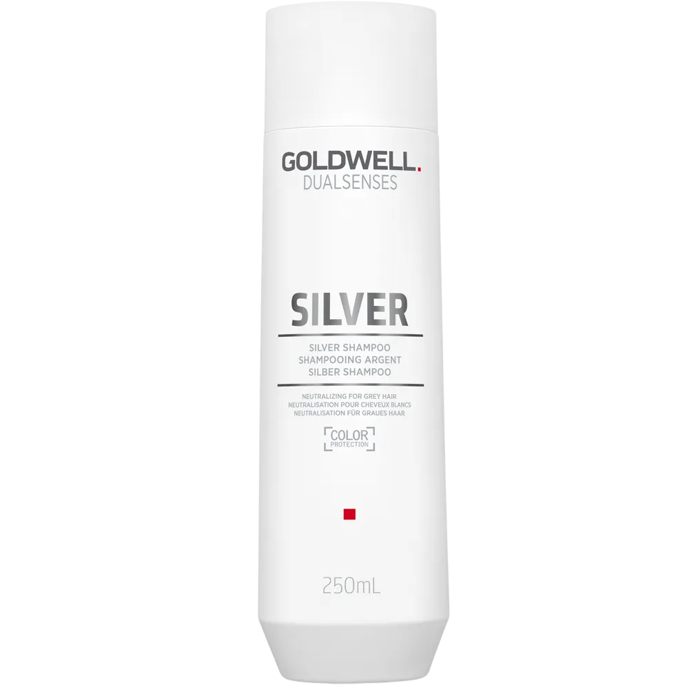 Goldwell, Dualsenses Silver, Spălarea părului cu cap de par, Antigriseală, 250 ml.