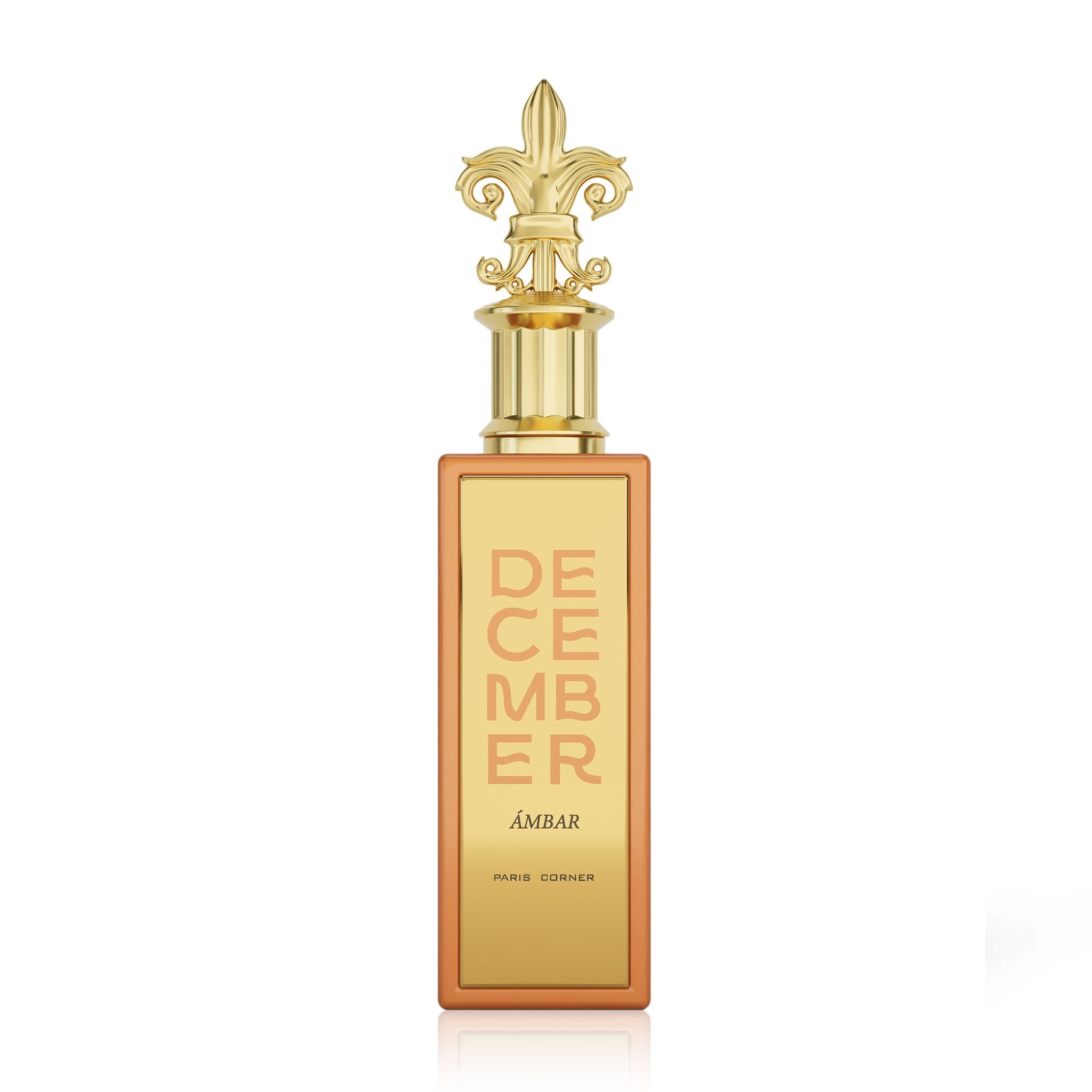 Paris Corner, Decembrie Ambar, Eau De Parfum, Neutru, 100 ml